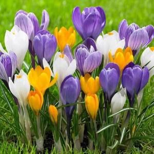 Meet your Posher, Maj-lene